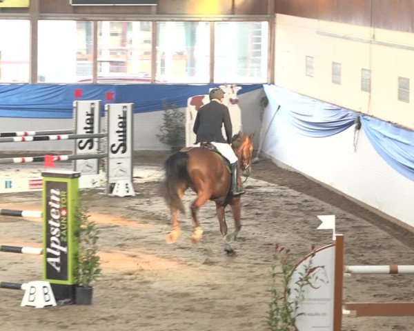 Reitturnier Sulgen 2019