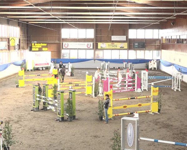 Reitturnier Sulgen 2019
