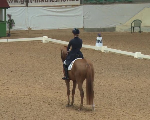 Reitturnier Kreuth/Opf. 2019