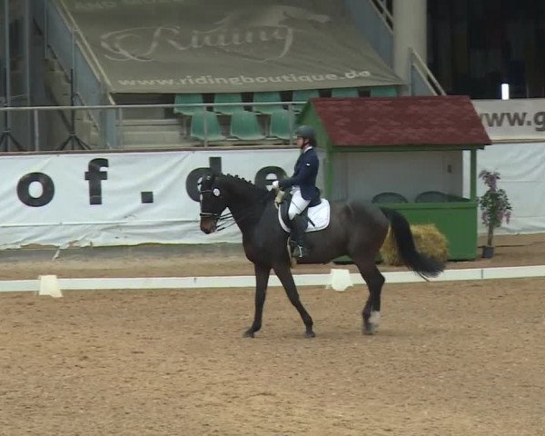 Reitturnier Kreuth/Opf. 2019