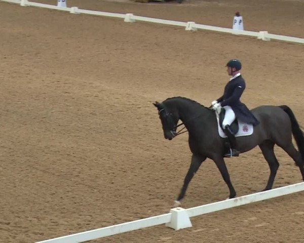 Reitturnier Kreuth/Opf. 2019