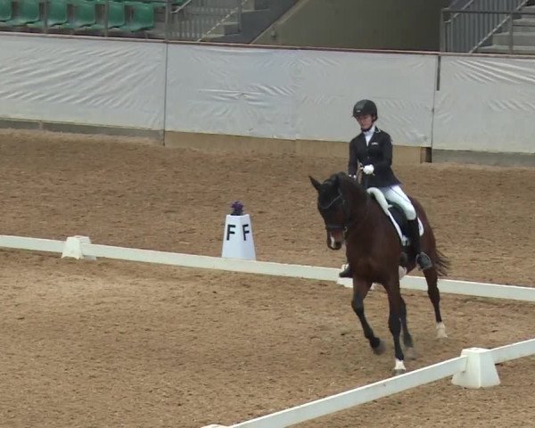 Reitturnier Kreuth/Opf. 2019