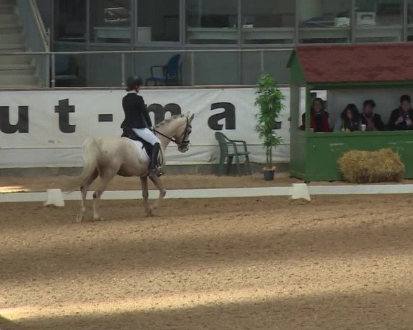 Reitturnier Kreuth/Opf. 2019