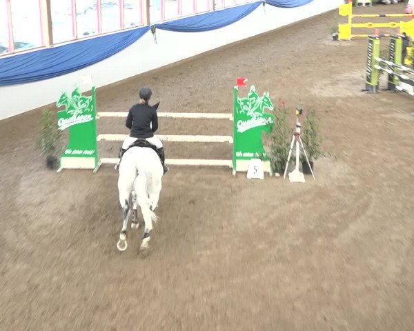 Reitturnier Sulgen 2019