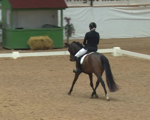 Reitturnier Kreuth/Opf. 2019