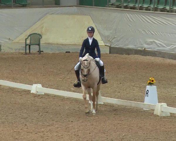 Reitturnier Kreuth/Opf. 2019
