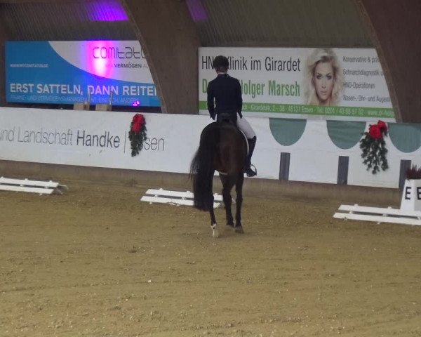 Reitturnier Essen-Stadtwald 2019