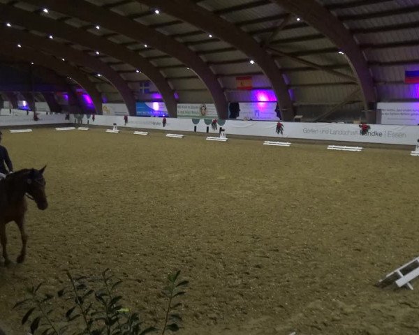 Reitturnier Essen-Stadtwald 2019