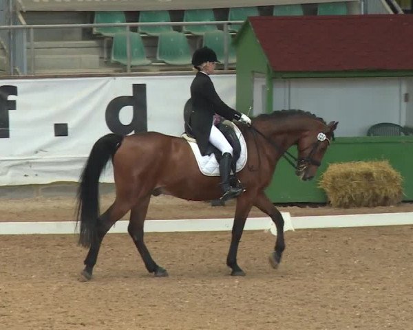 Reitturnier Kreuth/Opf. 2019