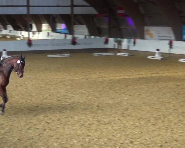 Reitturnier Essen-Stadtwald 2019