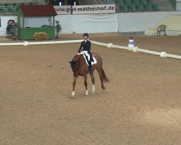 Reitturnier Kreuth/Opf. 2019