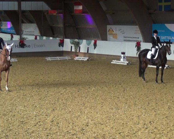 Reitturnier Essen-Stadtwald 2019
