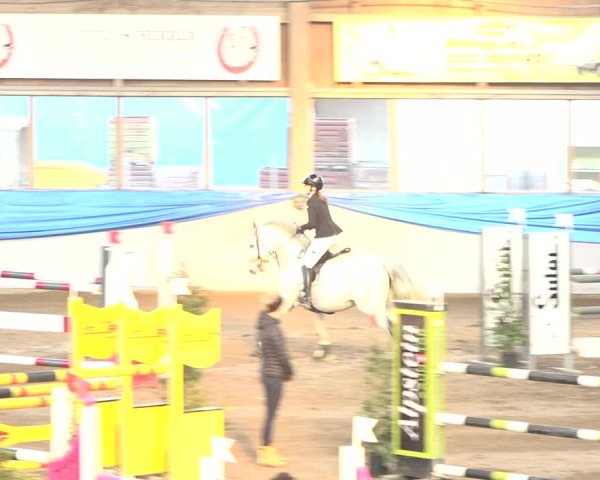 Reitturnier Sulgen 2019