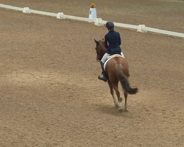 Reitturnier Kreuth/Opf. 2019