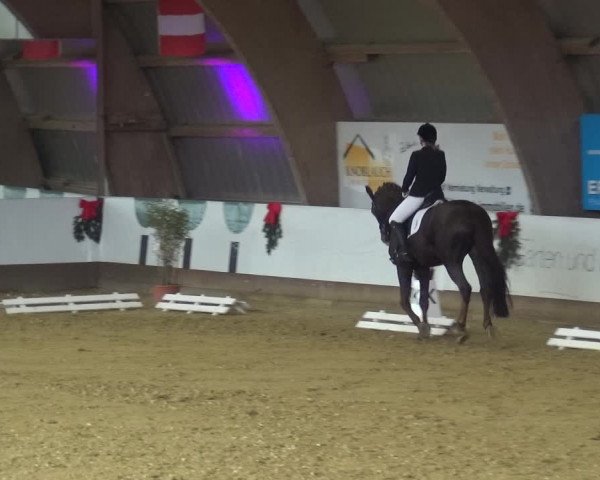 Reitturnier Essen-Stadtwald 2019