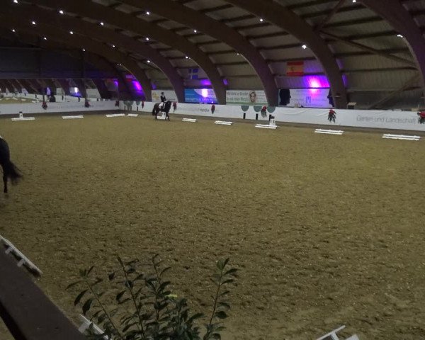 Reitturnier Essen-Stadtwald 2019