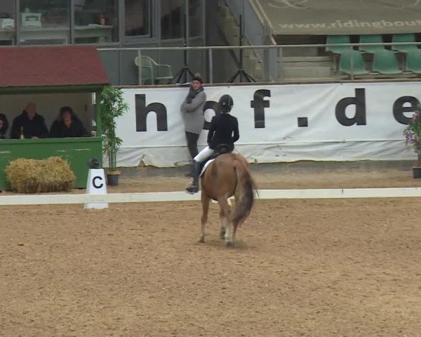 Reitturnier Kreuth/Opf. 2019