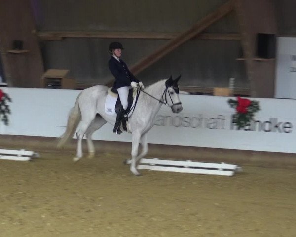 Reitturnier Essen-Stadtwald 2019