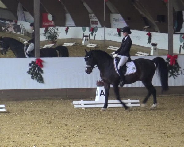 Reitturnier Essen-Stadtwald 2019