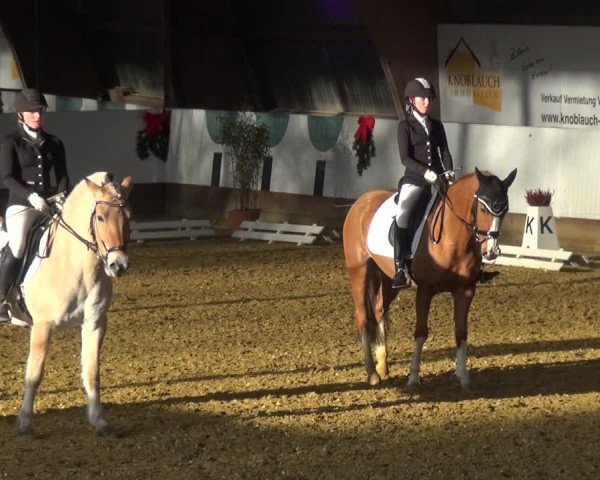 Reitturnier Essen-Stadtwald 2019