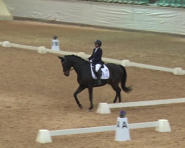 Reitturnier Kreuth/Opf. 2019