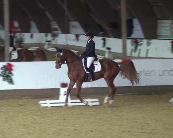 Reitturnier Essen-Stadtwald 2019