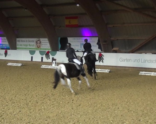 Reitturnier Essen-Stadtwald 2019