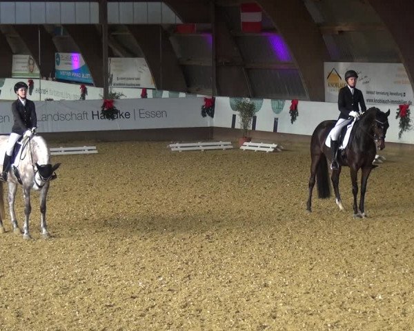 Reitturnier Essen-Stadtwald 2019