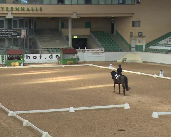 Reitturnier Kreuth/Opf. 2019