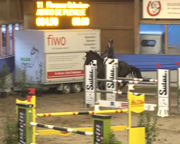 Reitturnier Sulgen 2019