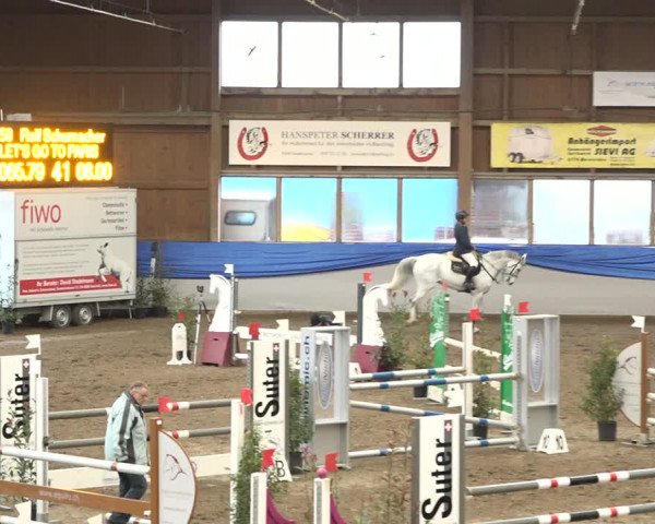 Reitturnier Sulgen 2019