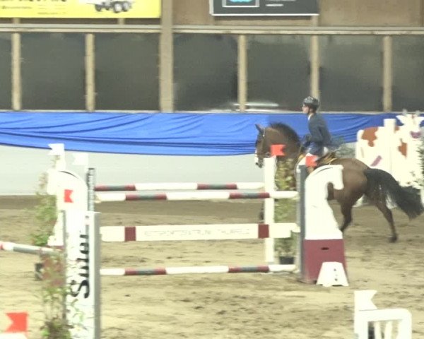 Reitturnier Sulgen 2019