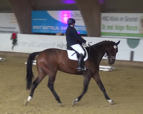 Reitturnier Essen-Stadtwald 2019