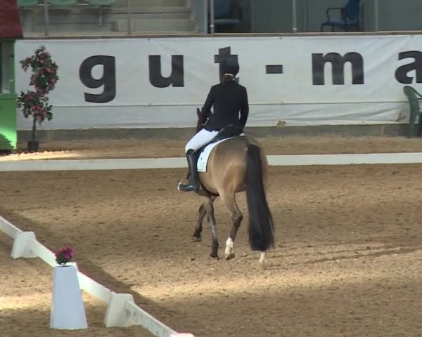 Reitturnier Kreuth/Opf. 2019
