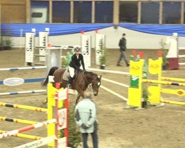 Reitturnier Sulgen 2019