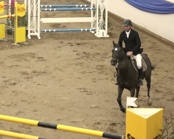 Reitturnier Sulgen 2019