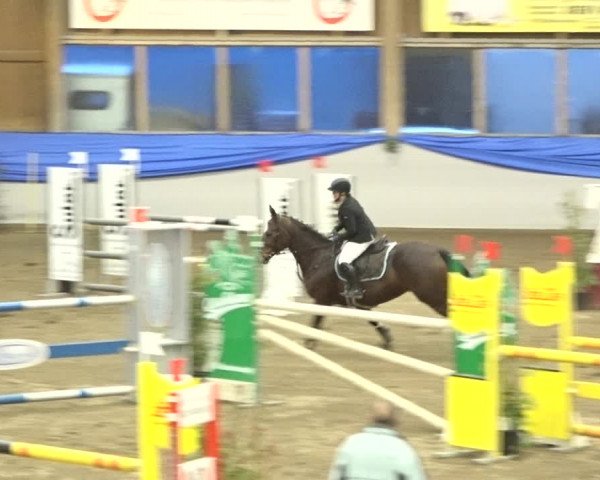 Reitturnier Sulgen 2019