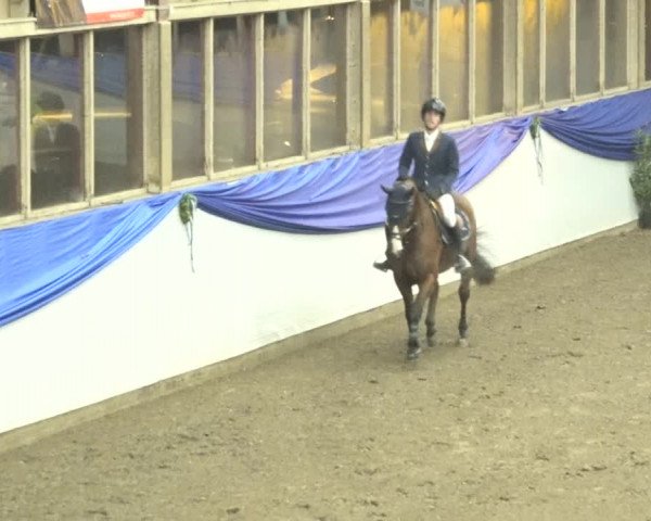 Reitturnier Sulgen 2019