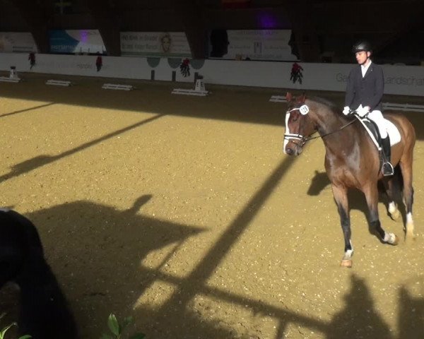 Reitturnier Essen-Stadtwald 2019