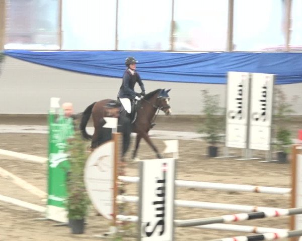 Reitturnier Sulgen 2019