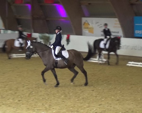 Reitturnier Essen-Stadtwald 2019