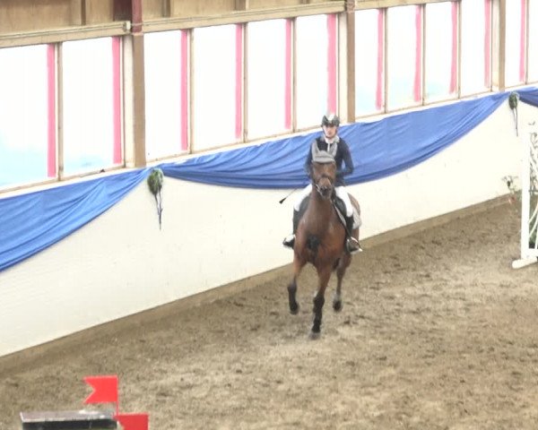 Reitturnier Sulgen 2019