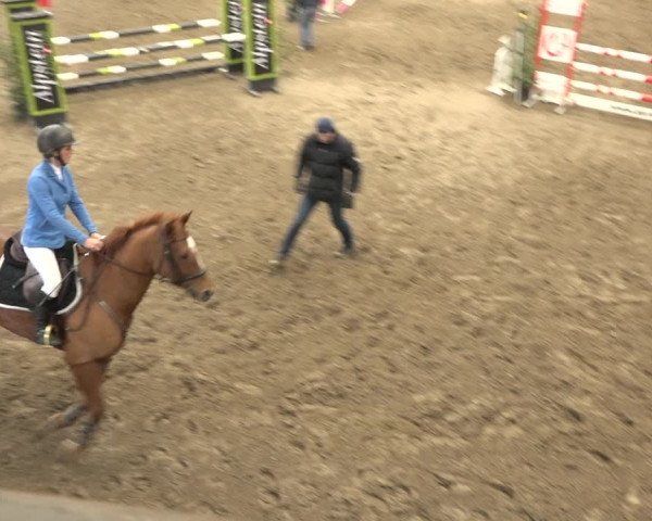 Reitturnier Sulgen 2019