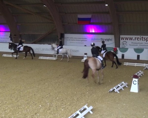 Reitturnier Essen-Stadtwald 2019