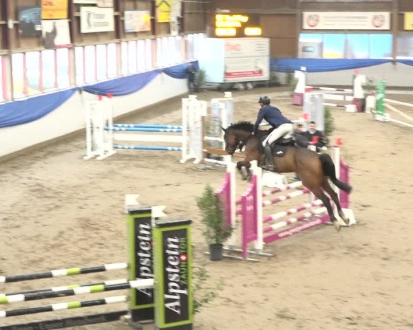 Reitturnier Sulgen 2019