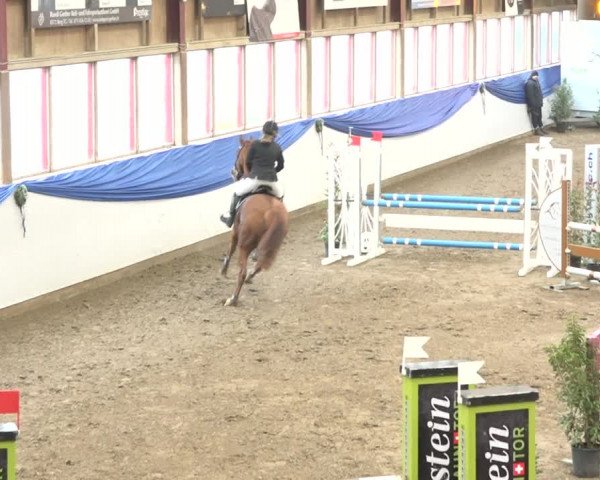 Reitturnier Sulgen 2019
