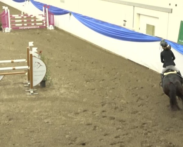 Reitturnier Sulgen 2019