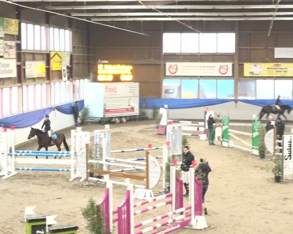 Reitturnier Sulgen 2019
