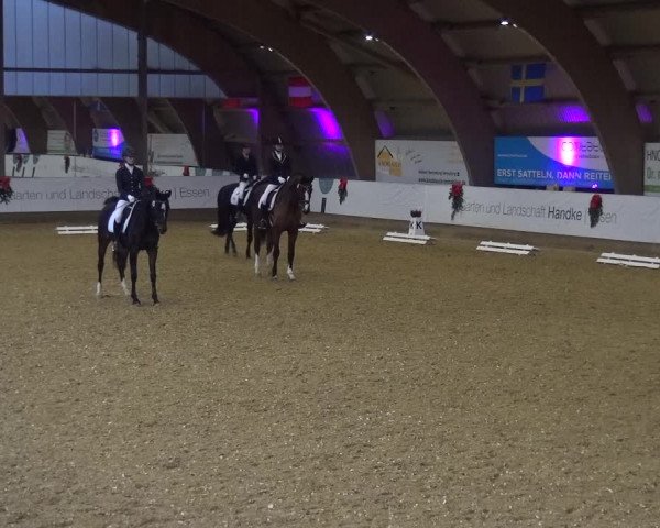 Reitturnier Essen-Stadtwald 2019