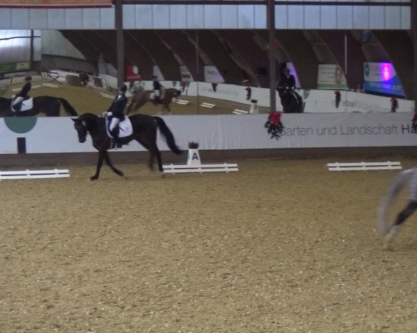 Reitturnier Essen-Stadtwald 2019